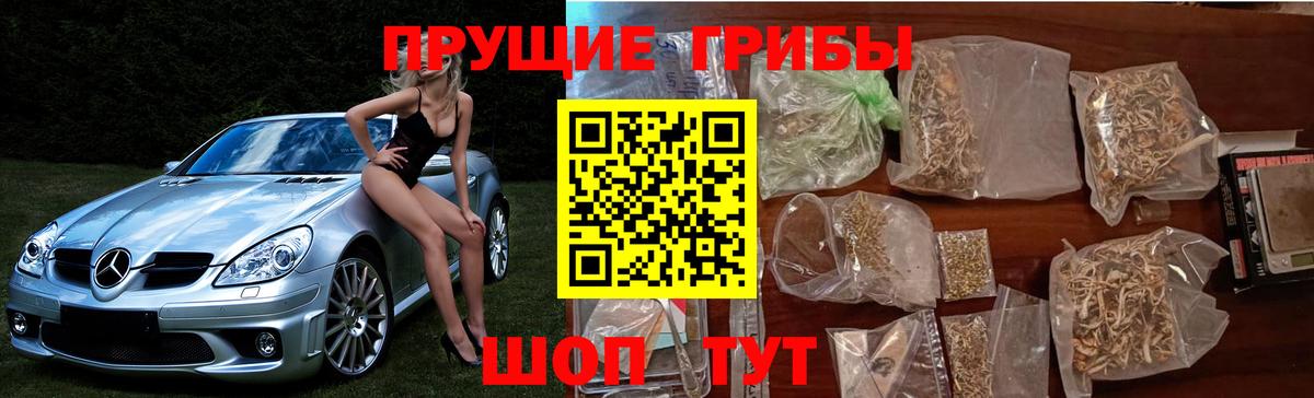 дарнет шоп  Вход с VPN  Черемхово  Галлюциногенные грибы Psilocybe 