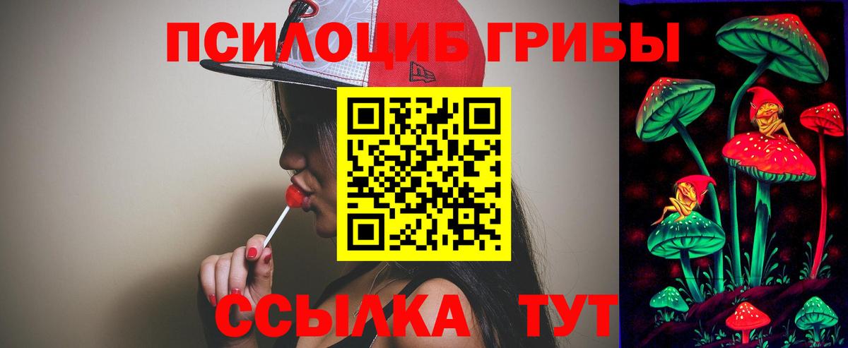 Псилоцибиновые грибы мицелий Черемхово